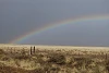 rainbow reserve catron county linnea hendrickson may 28 2009 40