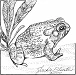 woodhouses toad